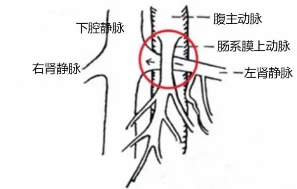 第四軍醫大學精彩分享個性化醫療3D打印的實戰案例與研究成果